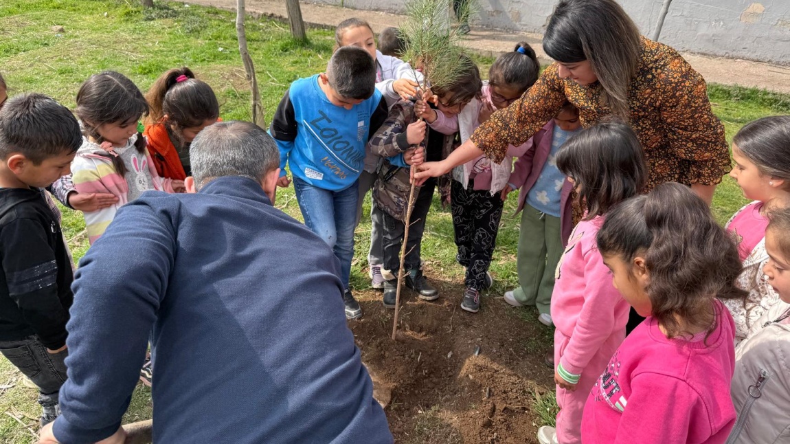 Okulumuz Bahçesine Fidan dikimi yaptık.